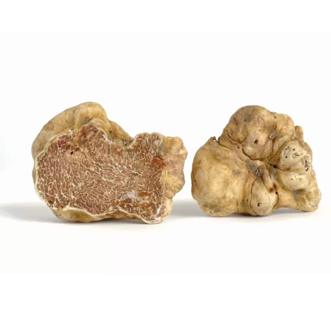 Белый трюфель Tuber Magnatum Pico (Piemonte, Alba), 100 грамм
