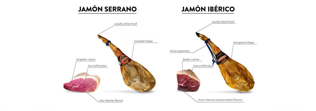 SERRANO_VS_IBERICO_1024x1024.jpg SERRANO_VS_IBERICO_1024x1024.jpg